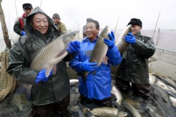 Pesqueiros chineses não dão trégua à América Latina