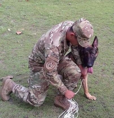 Panamanian Air and Naval Service Members Take Maritime Canine Counternarcotics Course