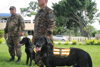Salvadoran Canines Strengthen Counternarcotics Tasks