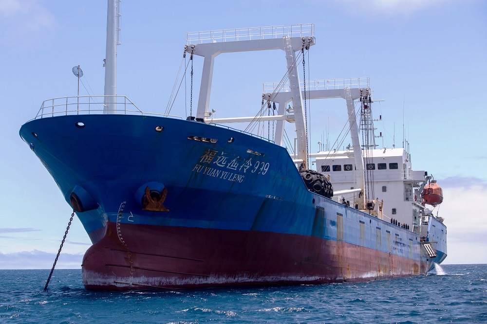 Voracity of Chinese Fishing Vessels Threatens Latin American Seas