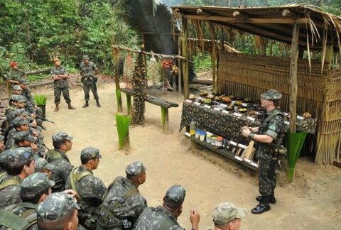Brazilian Indigenous Service Members: Essential Assets of the Armed Forces