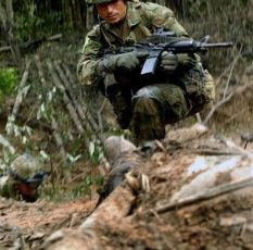 FARC And ELN Lost 21,500 Combatants In Colombia