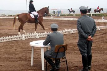 Chilean Military Personnel Distinguish Themselves at International Equestrian Competition