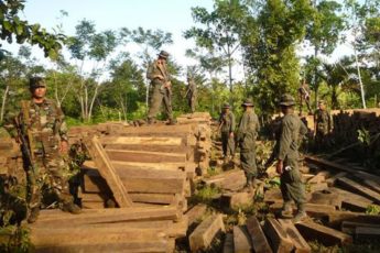 Nicaraguan Army Conducts Operation Green Gold to Protect the Environment