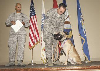 Airmen Honor Military Working Dog