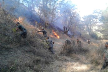Guatemalan Defense Brigades Help Fight Forest Fires