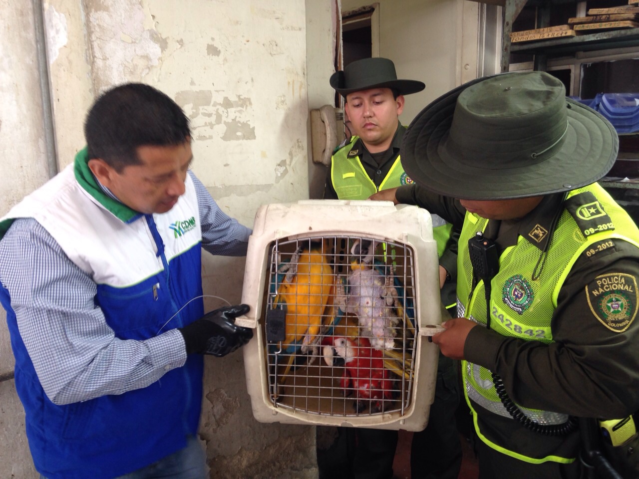 Colombian National Army and Police Combat Illegal Wildlife Trafficking