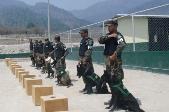 Honduras Unleashes Armed Forces’ First Canine Battalion To Fight Crime