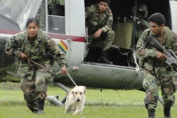 Bolivia’s FELCN has Seized 14.4 Tons of Cocaine in 2015