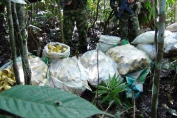 Colombian Army Discovers Clan del Golfo’s Anti-personnel Mines