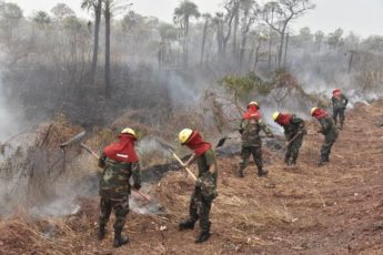 Bolivia recibe apoyo internacional para combatir los incendios de la Amazonia
