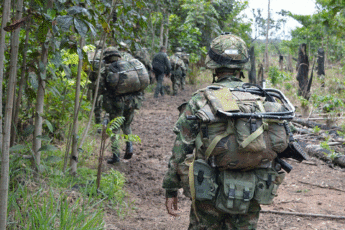 Militares colombianos combatem um desmatamento sem precedentes