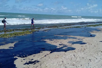 Sustancias contaminantes encontradas en playas brasileñas son compatibles con petróleo venezolano