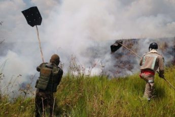 Forças Armadas promovem Operação Verde Brasil 2 de combate ao desmatamento na Amazônia