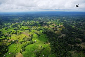 Illicit Drug Production Destroys Colombian, Peruvian Ecosystems