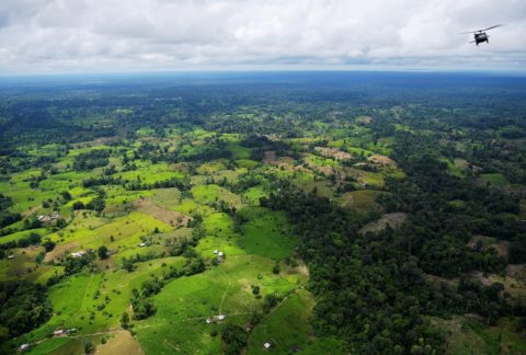 Ecosistemas de Colombia y Perú son destruidos por producción de drogas ilícitas