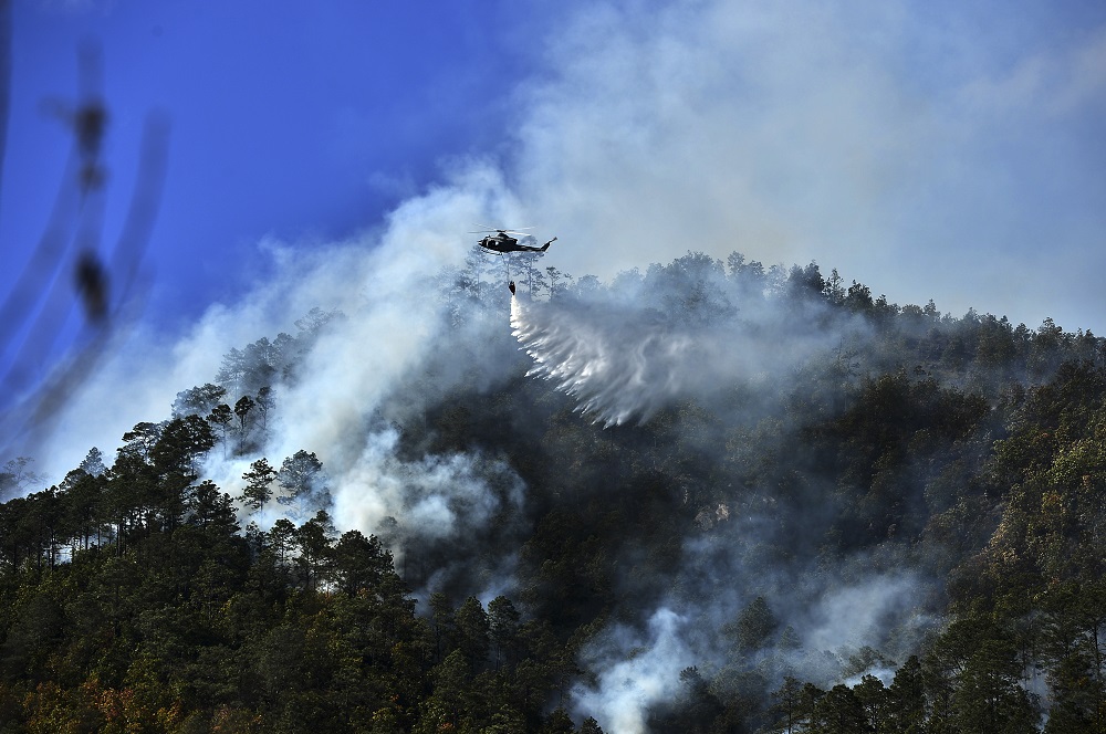 Militares hondurenhos combatem incêndios florestais que afligem o país