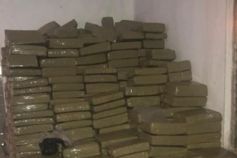 Forças de segurança da Jamaica confiscam mais de 6 toneladas de maconha