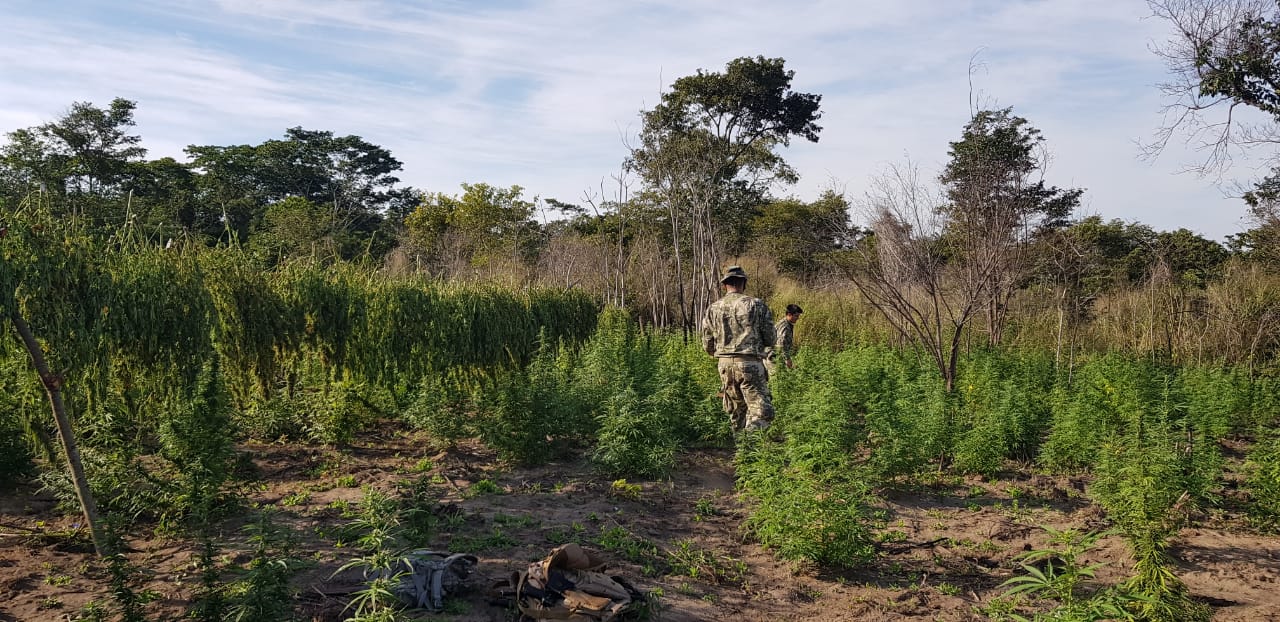 Paraguai apreende mais de 46 toneladas de drogas ilícitas em uma semana