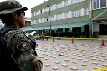 Bolivia decomisa casi 453 toneladas de drogas en los últimos 11 meses