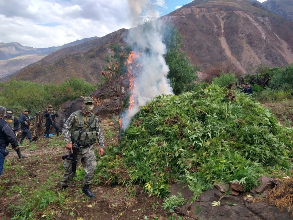 Peruvian Armed Forces Destroy Marijuana Plantations and Clandestine ...