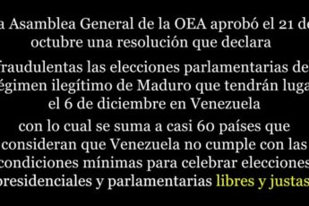 Venezuela: Resolución de la OEA