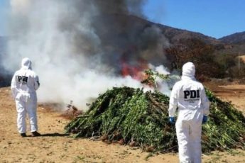 Chilean Police Attack Drug Production