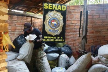 Forças de segurança do Paraguai apreendem mais de 41 toneladas de maconha