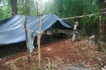 Paraguay: SENAD destruye centros de producción de marihuana en bosques protegidos