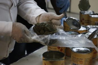 Paraguay: canes de la SENAD detectan drogas en cremas, juguetes, botellas y postales