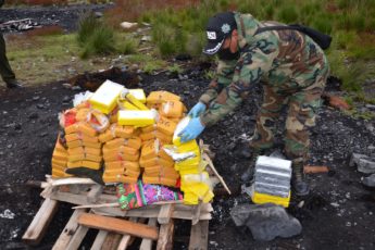 Bolivia: Anti-drug Agents Destroy More than 2 Tons of Drugs
