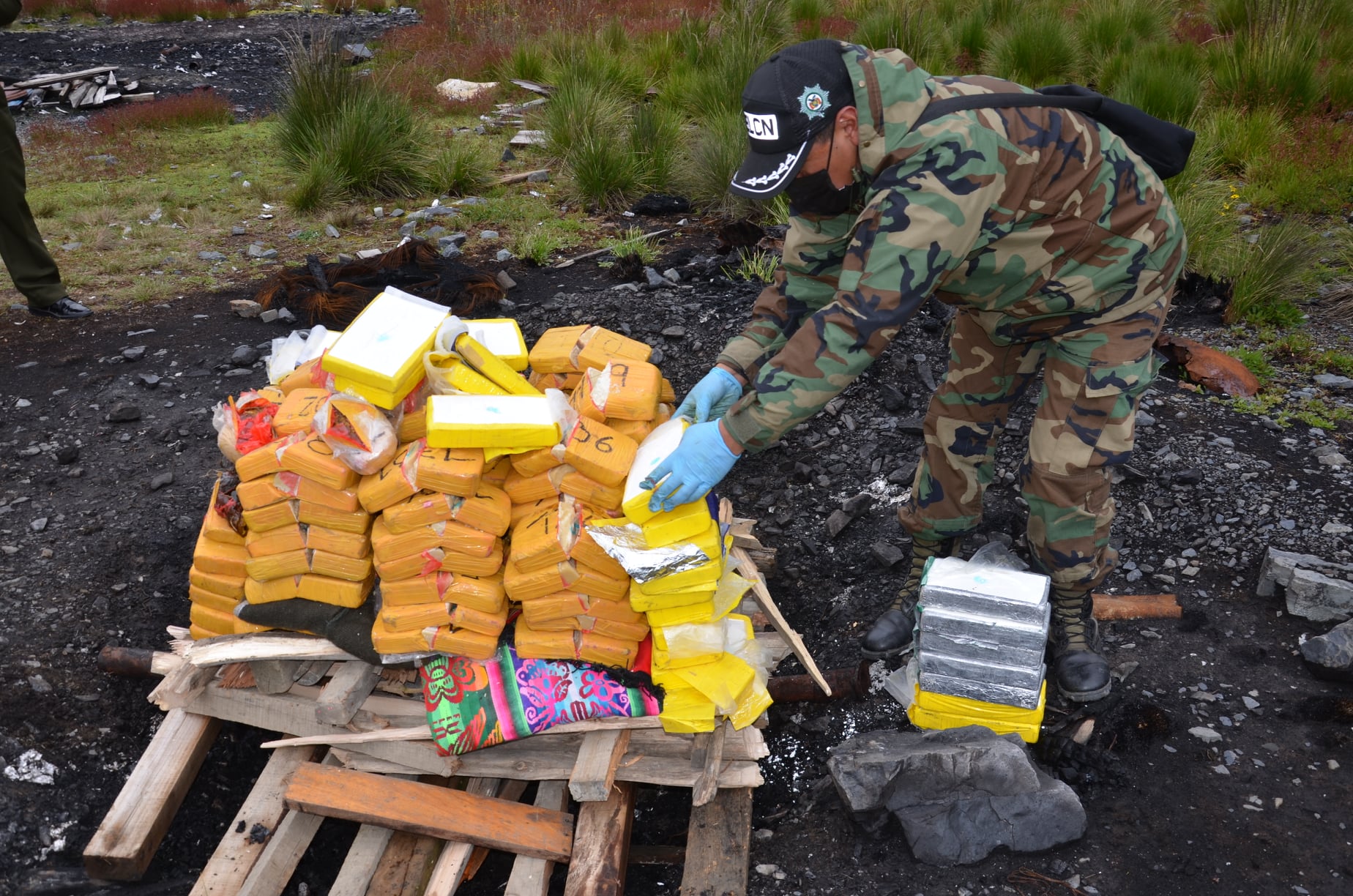 Bolivia: agentes antinarcóticos eliminan más de 2 toneladas de drogas