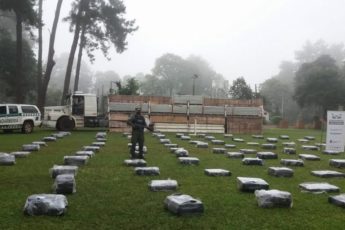 Gendarmaria Argentina apreende mais de 6 toneladas de maconha