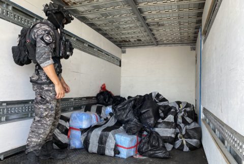 Chilean Security Forces Seize 4 Tons of Drugs in 2 Operations