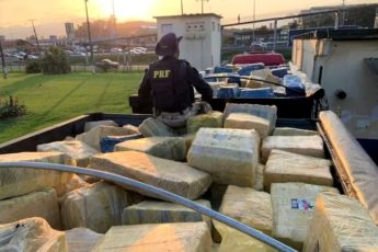 Brazil: Police Seizes More than 24 Tons of Marijuana from Paraguay