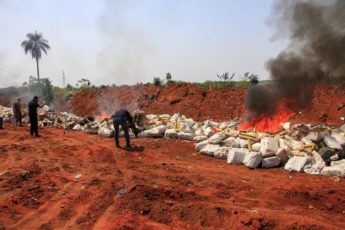 Paraguay incinera cargamento récord de 36 toneladas de marihuana