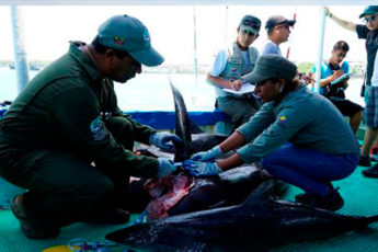 Ecuador lucha contra pesca ilegal, con ayuda de Canadá y los EE. UU.