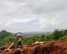 A outra crise da Nicarágua: o desmatamento