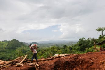 Nicaragua’s Other Crisis: Deforestation