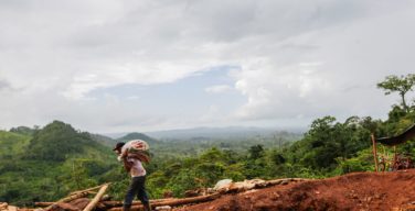 A outra crise da Nicarágua: o desmatamento