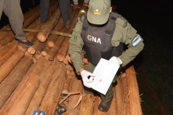 Argentina: Gendarmería incauta drogas ocultas en cargamentos de madera