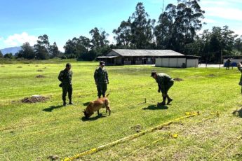 Estados Unidos apoiam Exército do Equador na retirada de minas