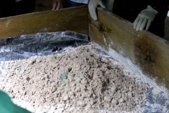 A Venezuela está se tornando um grande produtor de cocaína?