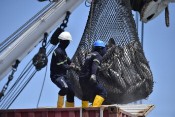 Pesca de Segurança: Assumindo a Pesca Ilegal na América Latina