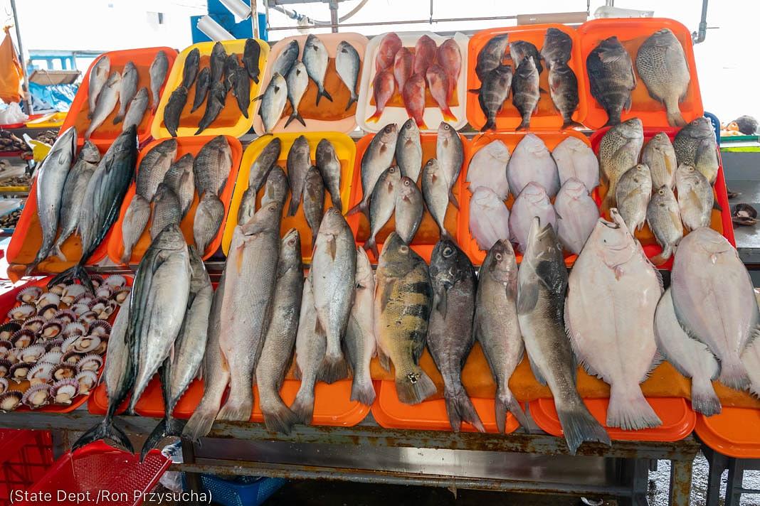 Apoio à pesca responsável no Pacífico