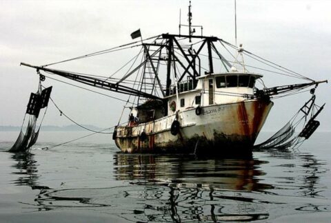 El apetito de la China para la pesca aumenta en Latinoamérica