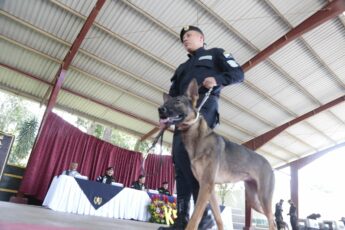 US Strengthens Guatemalan Police with K-9 Dogs