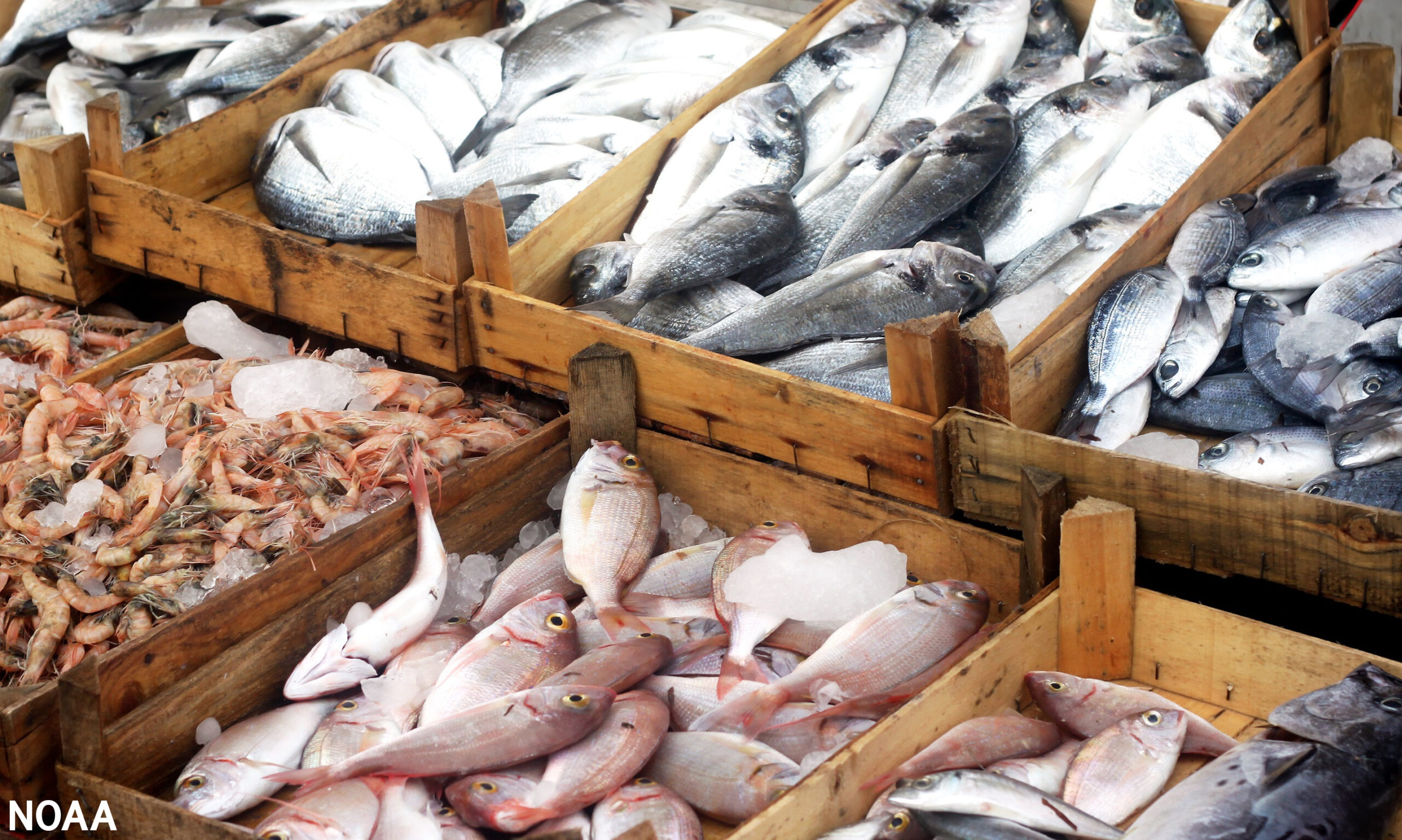 US to Expand Monitoring Program Against IUU Fishing