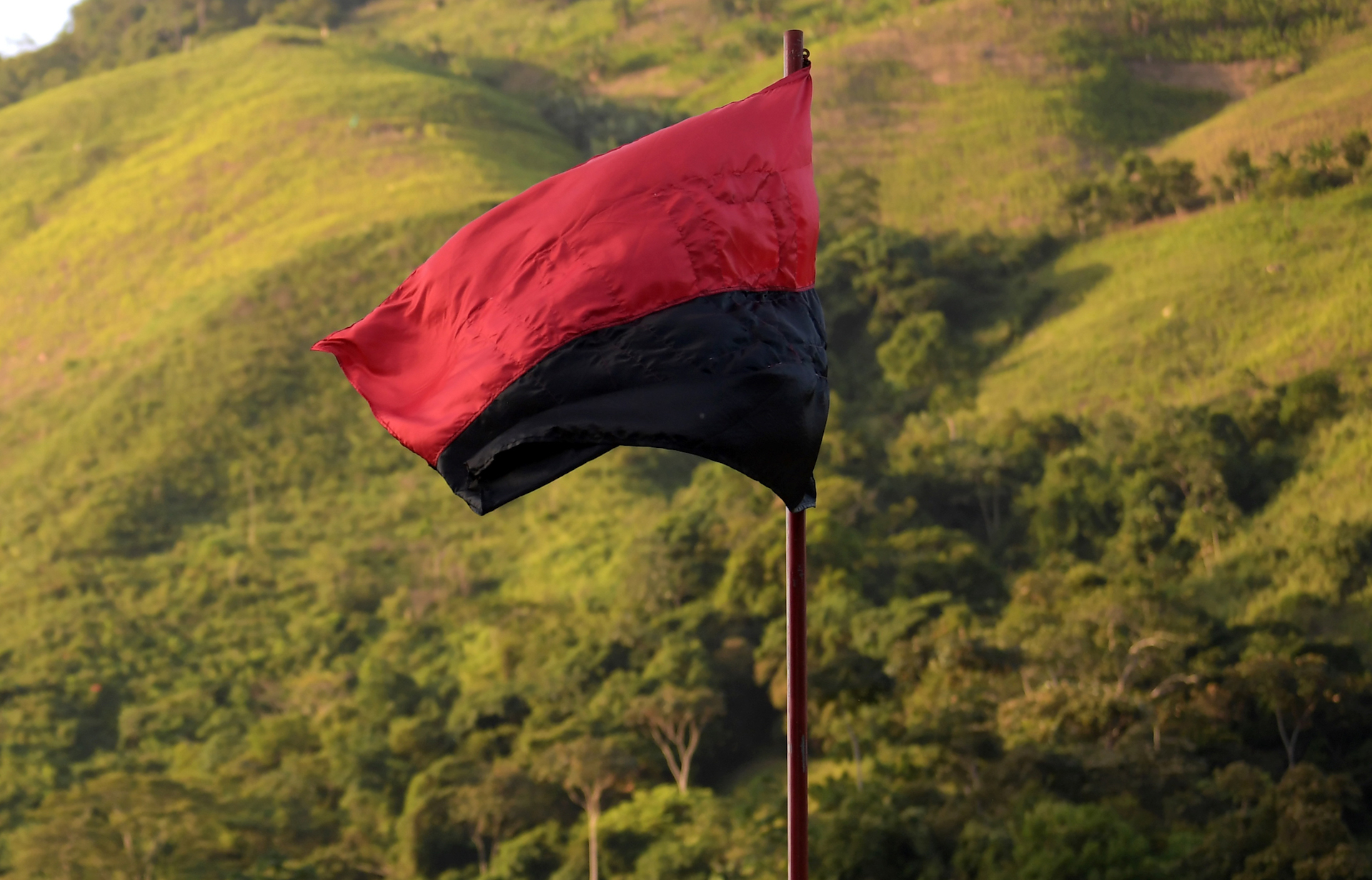 ELN to Continue Kidnappings Despite Ceasefire