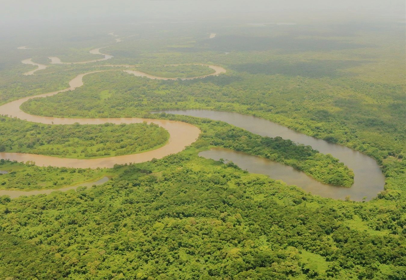 Narcos Ravage Río Plátano Reserve in Honduras